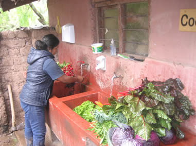 Yessica washing vegetables for her local CSA Eco-Huella 